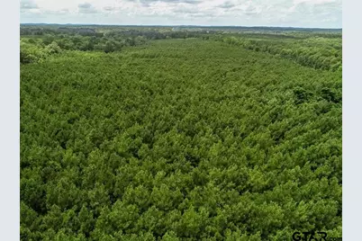 599 Jones Farm Rd, Avinger, TX 75630 - Photo 19