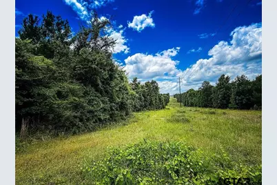 599 Jones Farm Rd, Avinger, TX 75630 - Photo 17