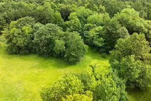 519 An County Road 45, Palestine, TX 75803 - Photo 43