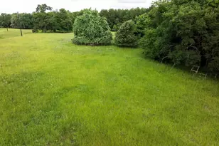 519 An County Road 45, Palestine, TX 75803 - Photo 41