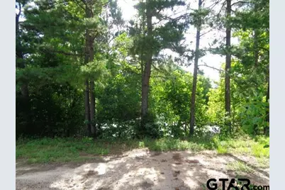 Tbd Cr 4568, Winnsboro, TX 75494 - Photo 3