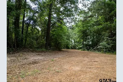 Tbd Cr 2232, Daingerfield, TX 75638 - Photo 23