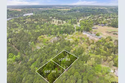 Lots  312 & 311 0 Private Road 7119, Frankston, TX 75763 - Photo 1