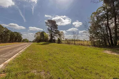 11810 County Rd 3101, Winona, TX 75792 - Photo 3