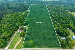 21135 Fm 1252, Winona, TX 75706 - Photo 1