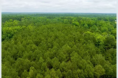 21135 Fm 1252, Winona, TX 75706 - Photo 15