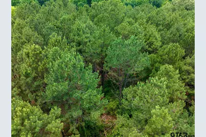 21135 Fm 1252, Winona, TX 75706 - Photo 7