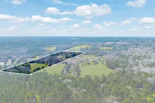 5730 E Fm 323, Palestine, TX 75801 - Photo 39