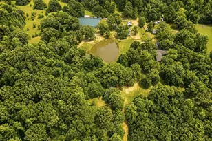 252 Private Rd 6955, Alba, TX 75410 - Photo 1