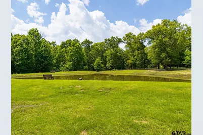 252 Private Road 6955, Alba, TX 75410 - Photo 5