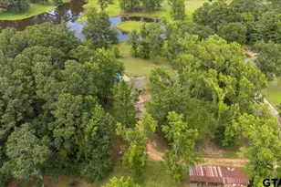 4233 Fm 2137, Bullard, TX 75757 - Photo 39