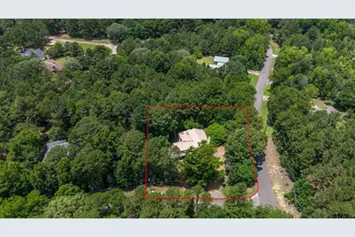 563 Branding Iron Lane, Holly Lake Ranch, TX 75765 - Photo 3