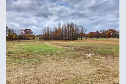 Lot 23 Cr 2230, Mineola, TX 75773 - Photo 1