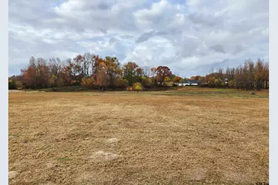 Lot 23 Cr 2230, Mineola, TX 75773 - Photo 3