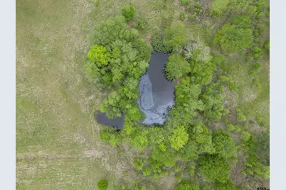 401 County Road 3114, Quitman, TX 75783 - Photo 7