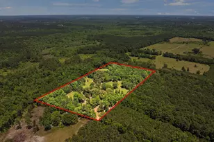 4469 Co Rd 1579, Avinger, TX 75630 - Photo 45