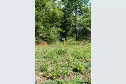 11163 Moser Ln, Whitehouse, TX 75791 - Photo 3