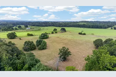 935 An County Road 3051, Frankston, TX 75763 - Photo 9