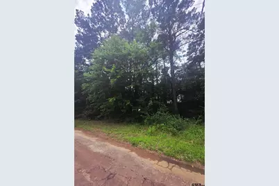 Tbd Cr 2131, Quitman, TX 75783 - Photo 1