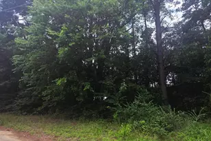 Tbd Cr 2131, Quitman, TX 75783 - Photo 1