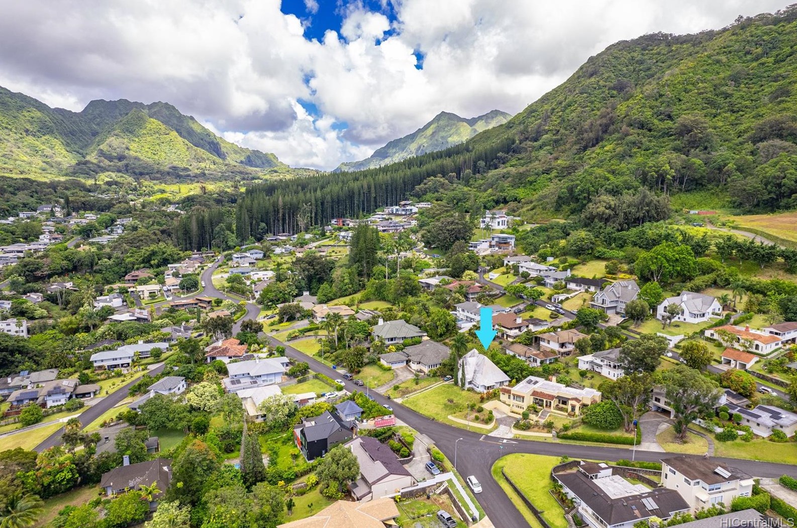3336 Kahawalu Dr, Honolulu HI  96817-1074 exterior