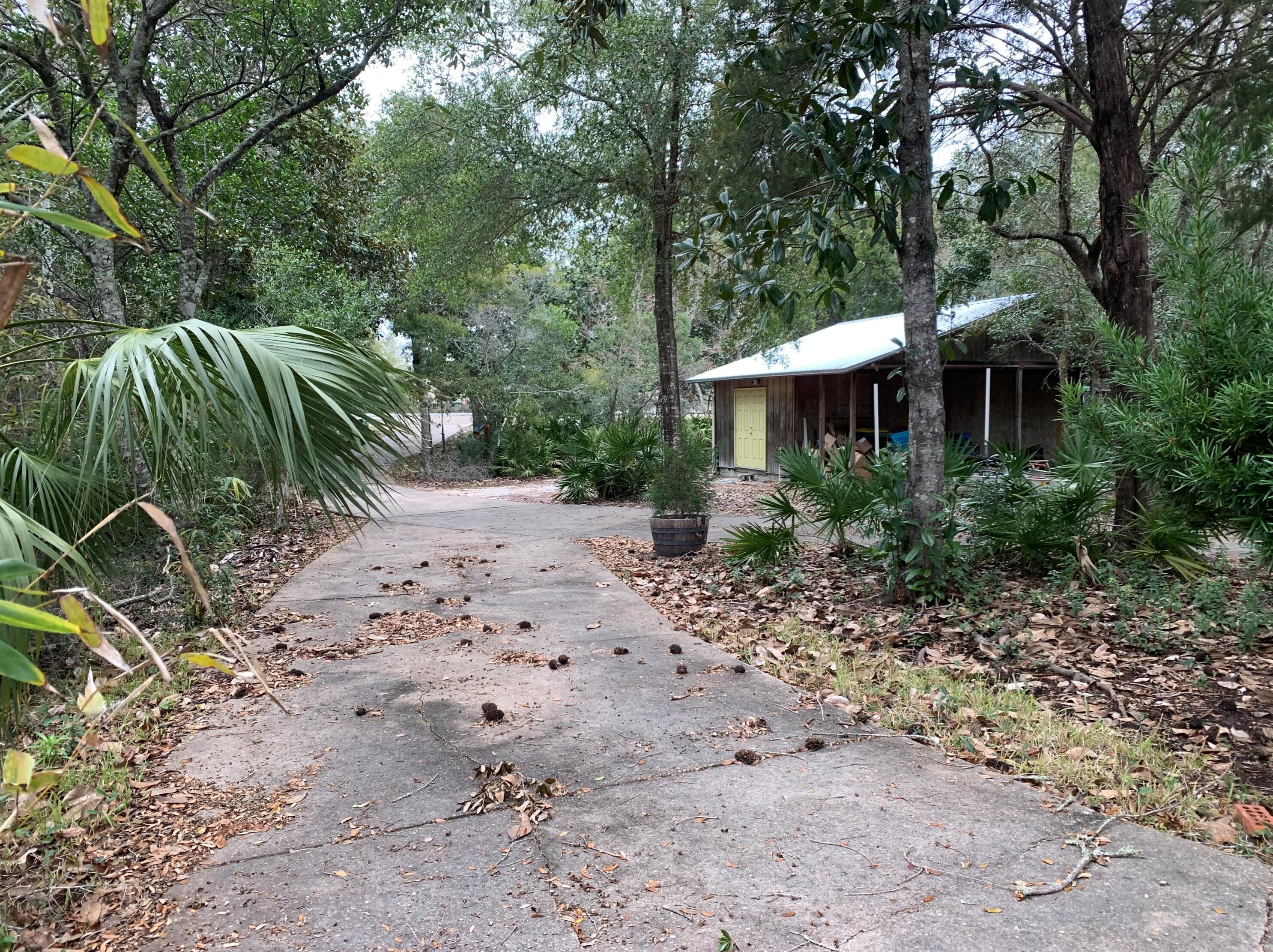 745 Miracle Strip Pkwy, Mary Esther FL 32569-2038 exterior