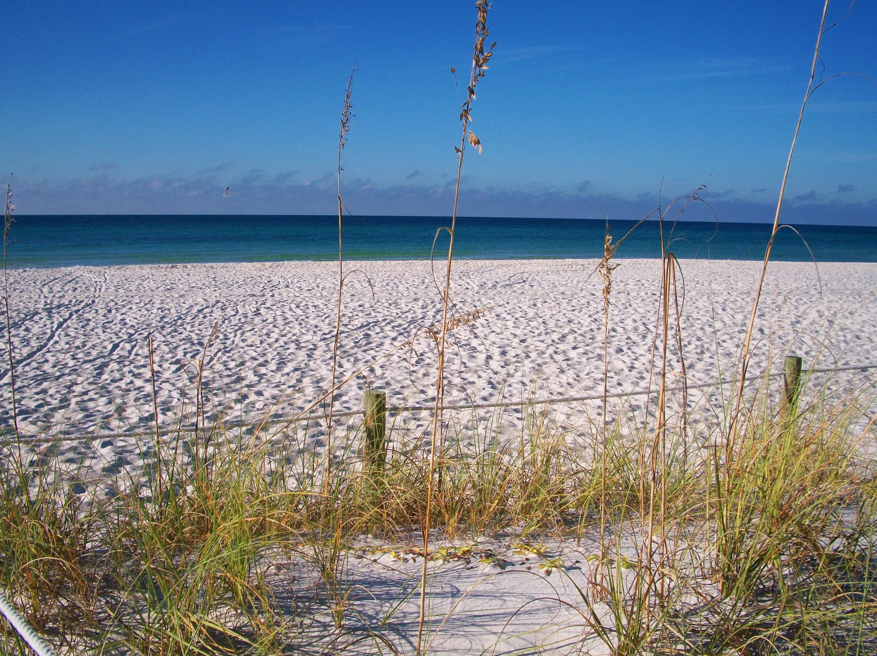 319 Ln Valencia Cir, Panama City FL 32413-3343 exterior