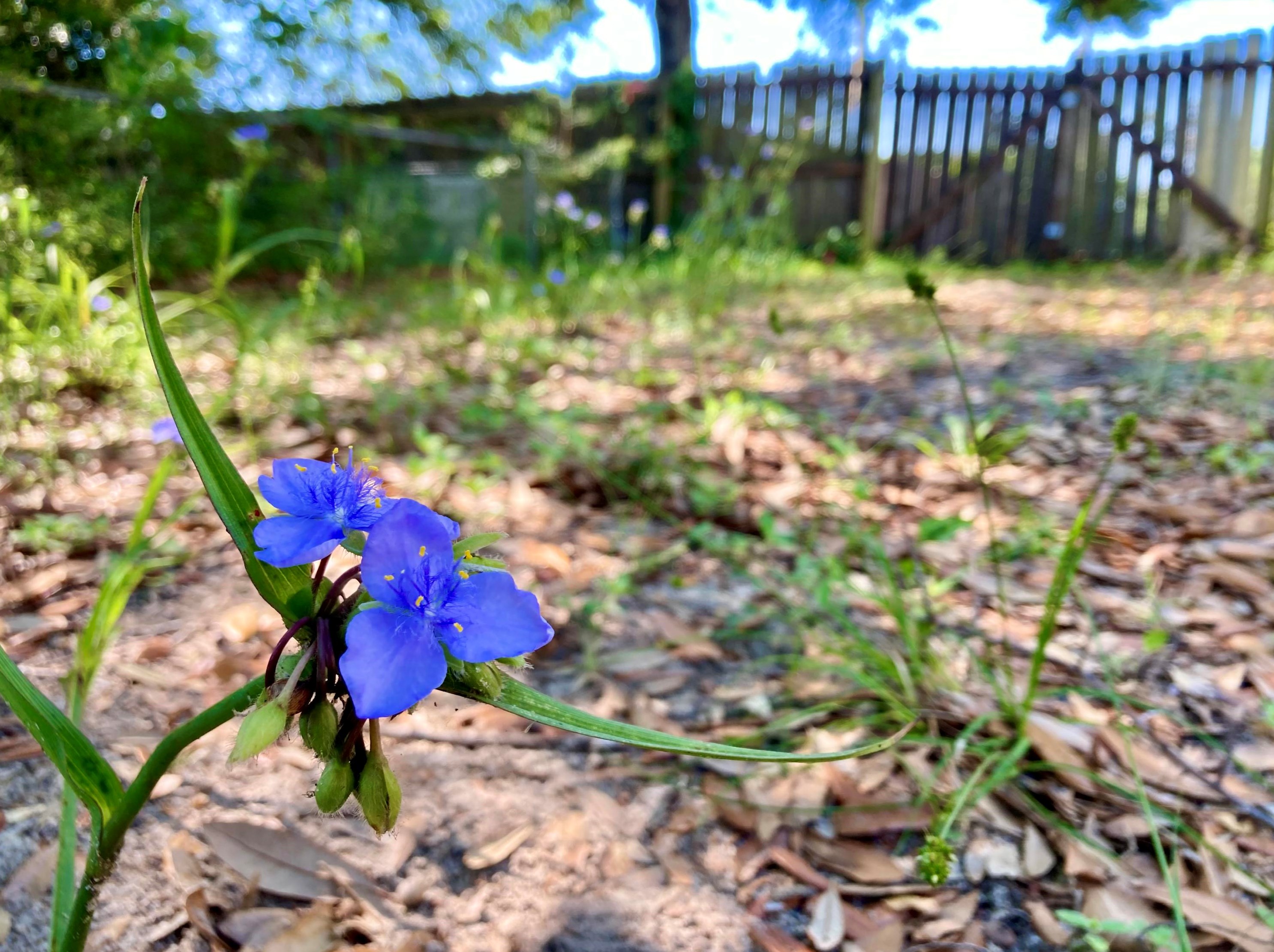 122 Dyer St, Niceville FL  32578-2623 exterior