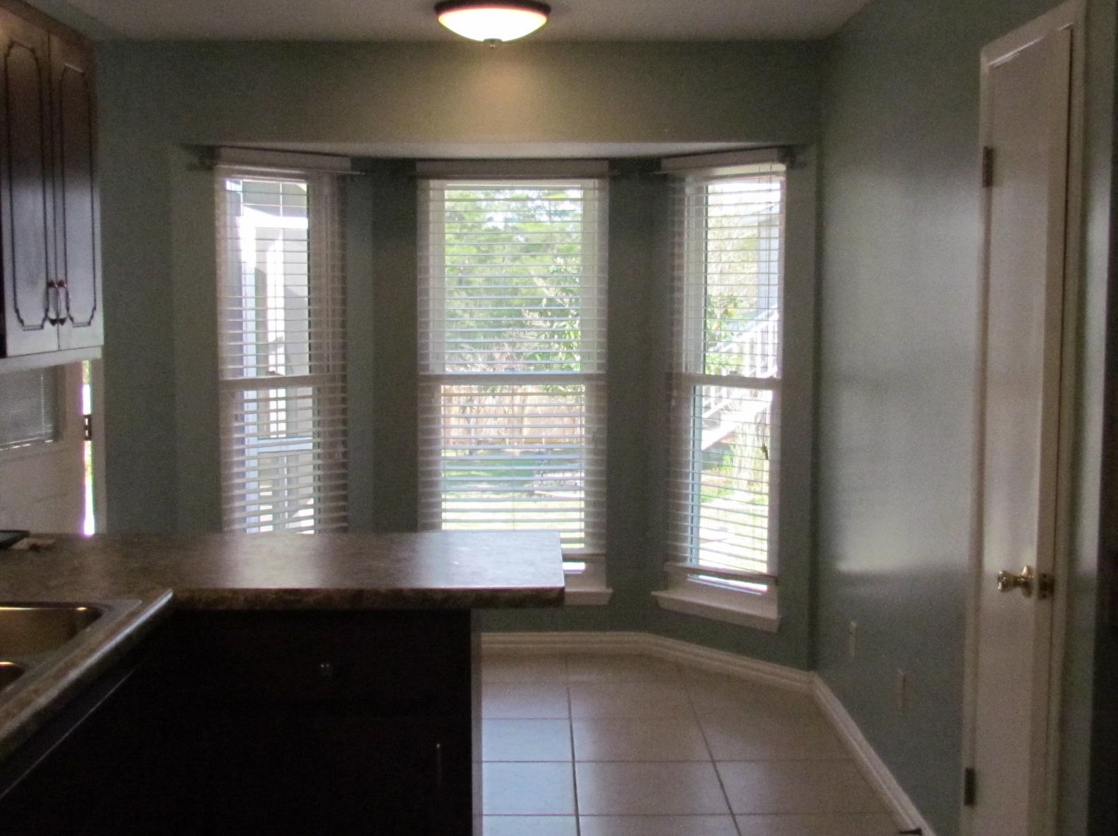 807 Sparkleberry Cv, Niceville FL  32578-1869 exterior