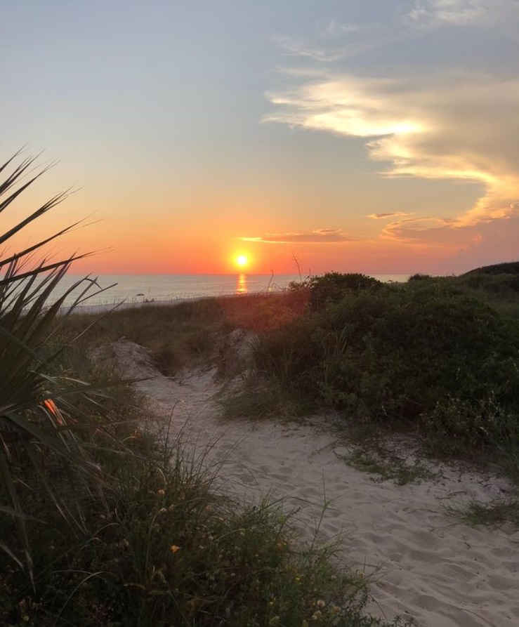 19512 Alta Vis Dr, Panama City FL 32413-3852 exterior