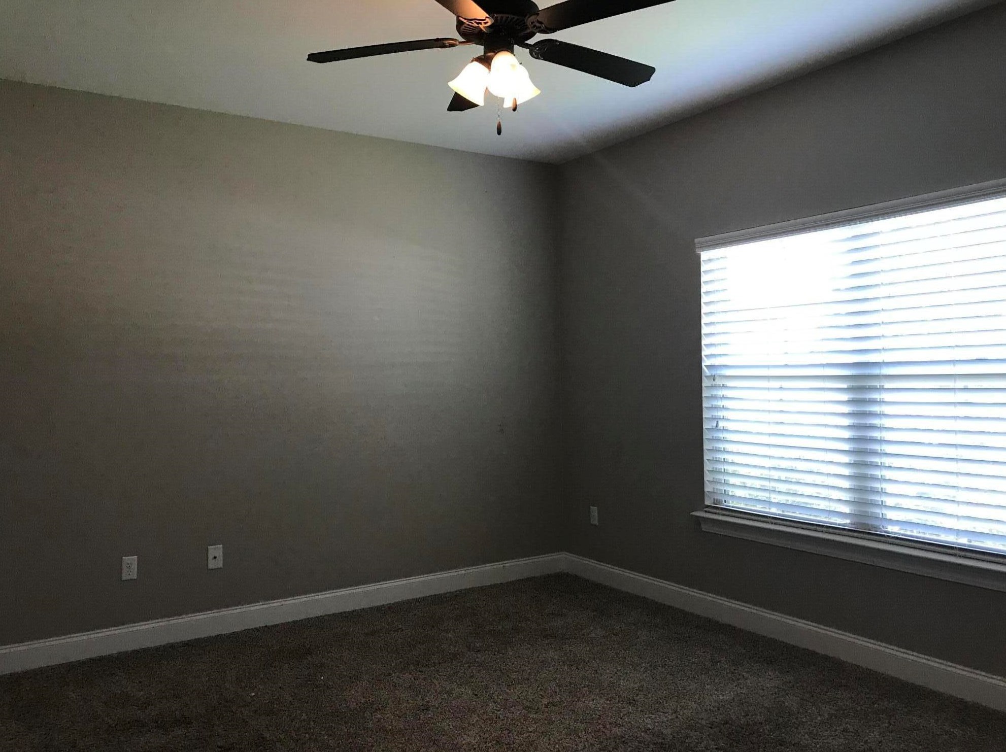 4211 Shadow Ln, Niceville FL  32578-4545 exterior