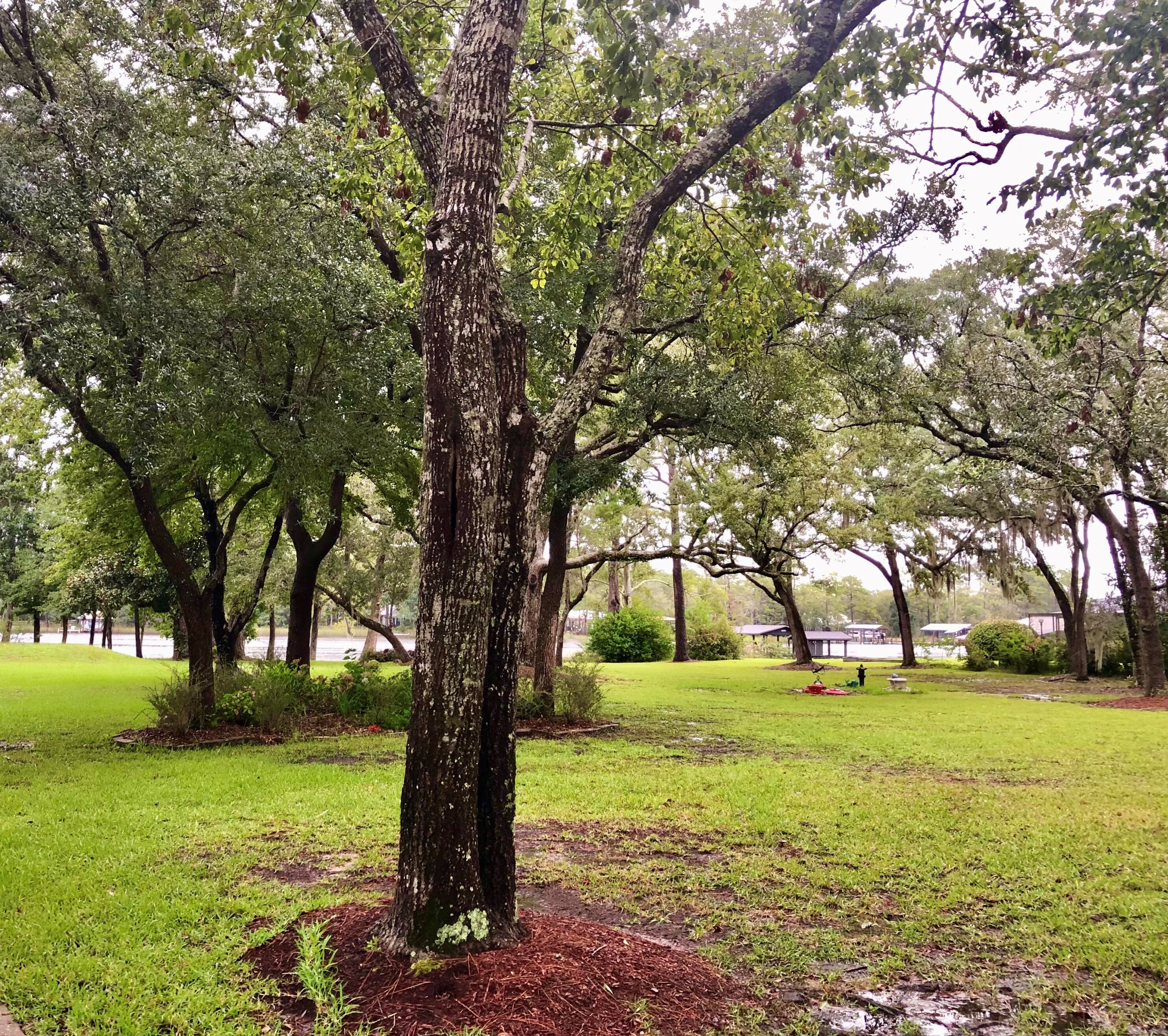 1000 Bay Grove Rd, Freeport FL  32439-4811 exterior