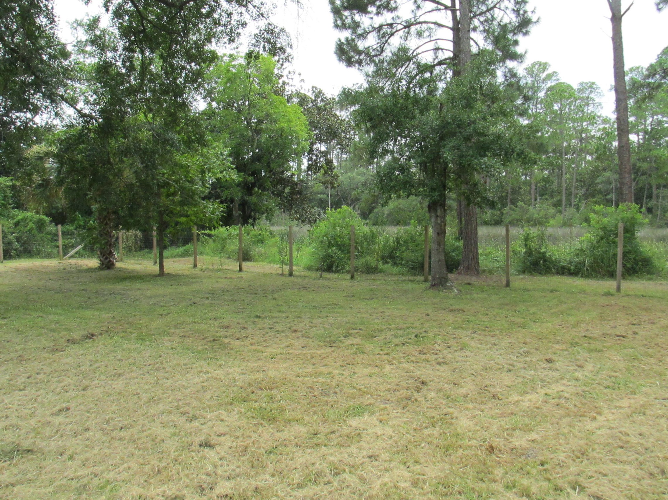 1409 County Highway 393, Santa Rosa Beach FL  32459-3885 exterior