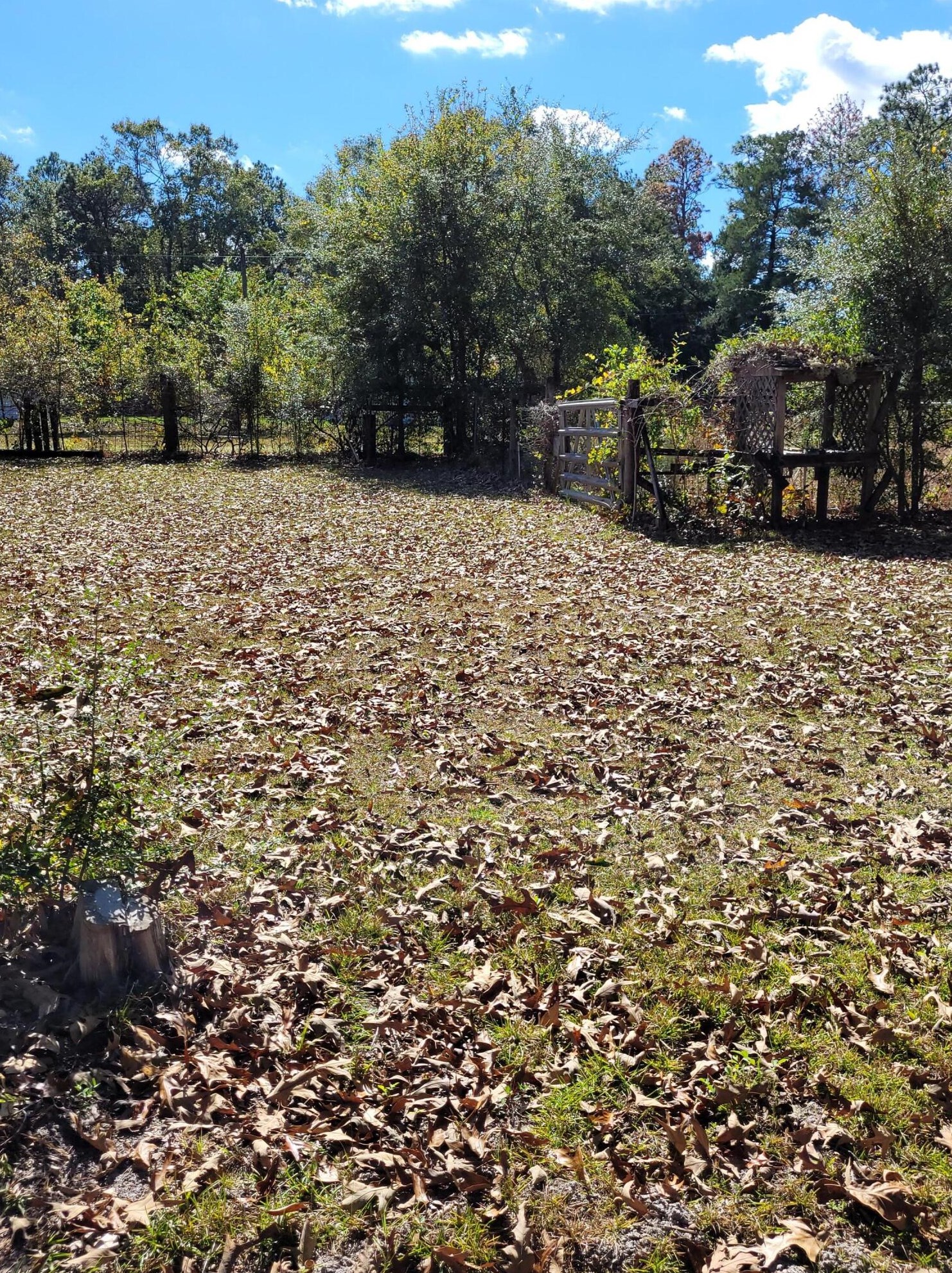 7363 Beaver Creek Rd, Crestview FL  32531-7027 exterior