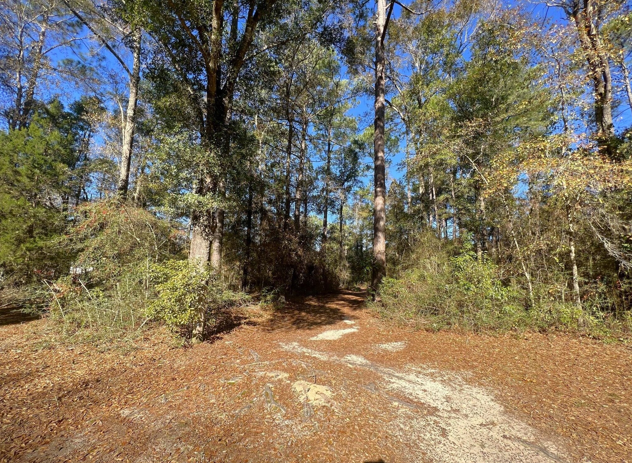 76 Coy Ellis Rd, Defuniak Springs, FL 32433
