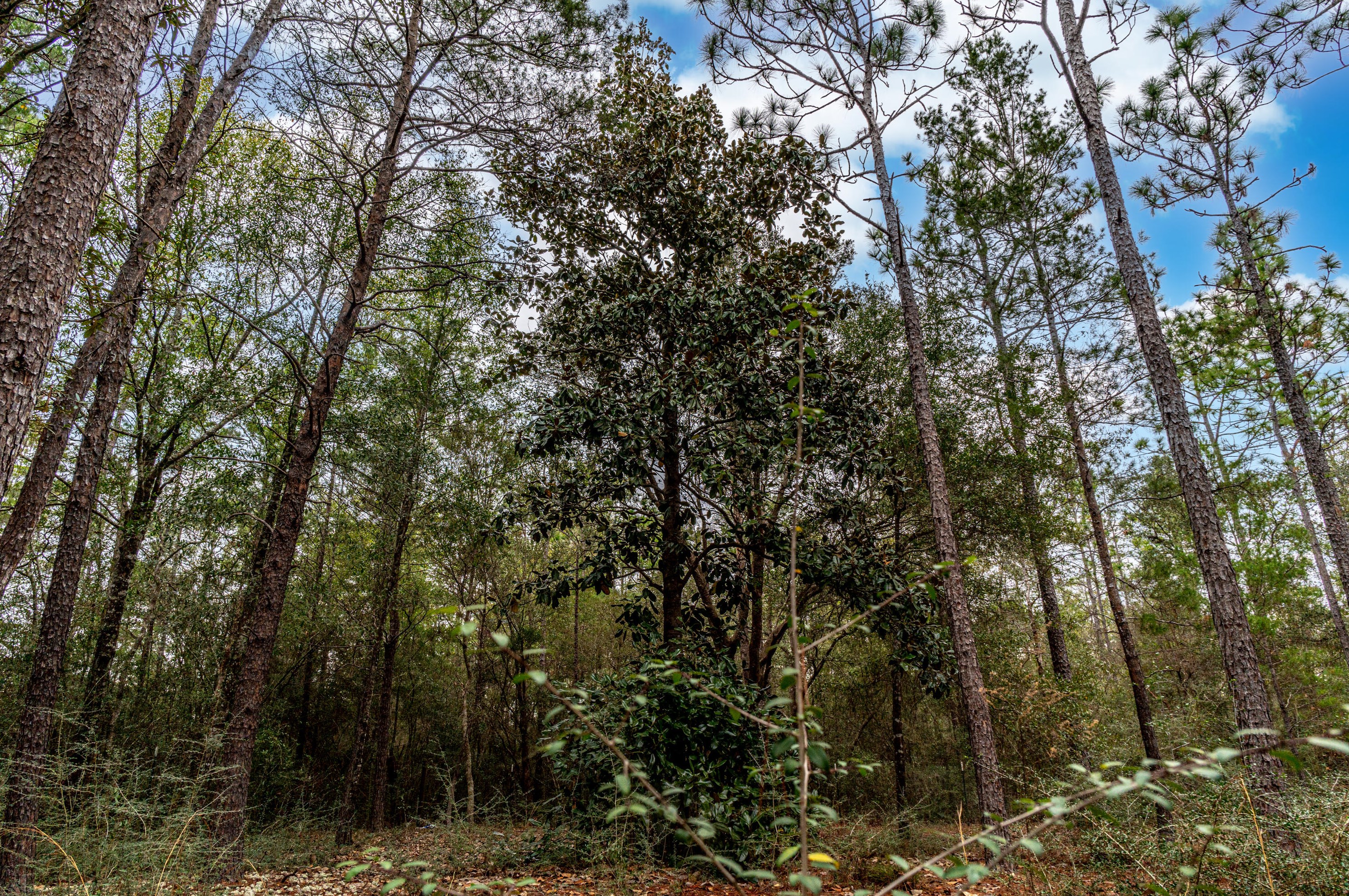 4037 Randi Rd, Crestview FL  32539-6506 exterior