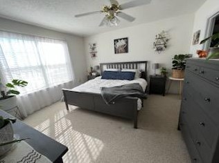 390 Brackin St, Crestview FL  32539-2904 exterior