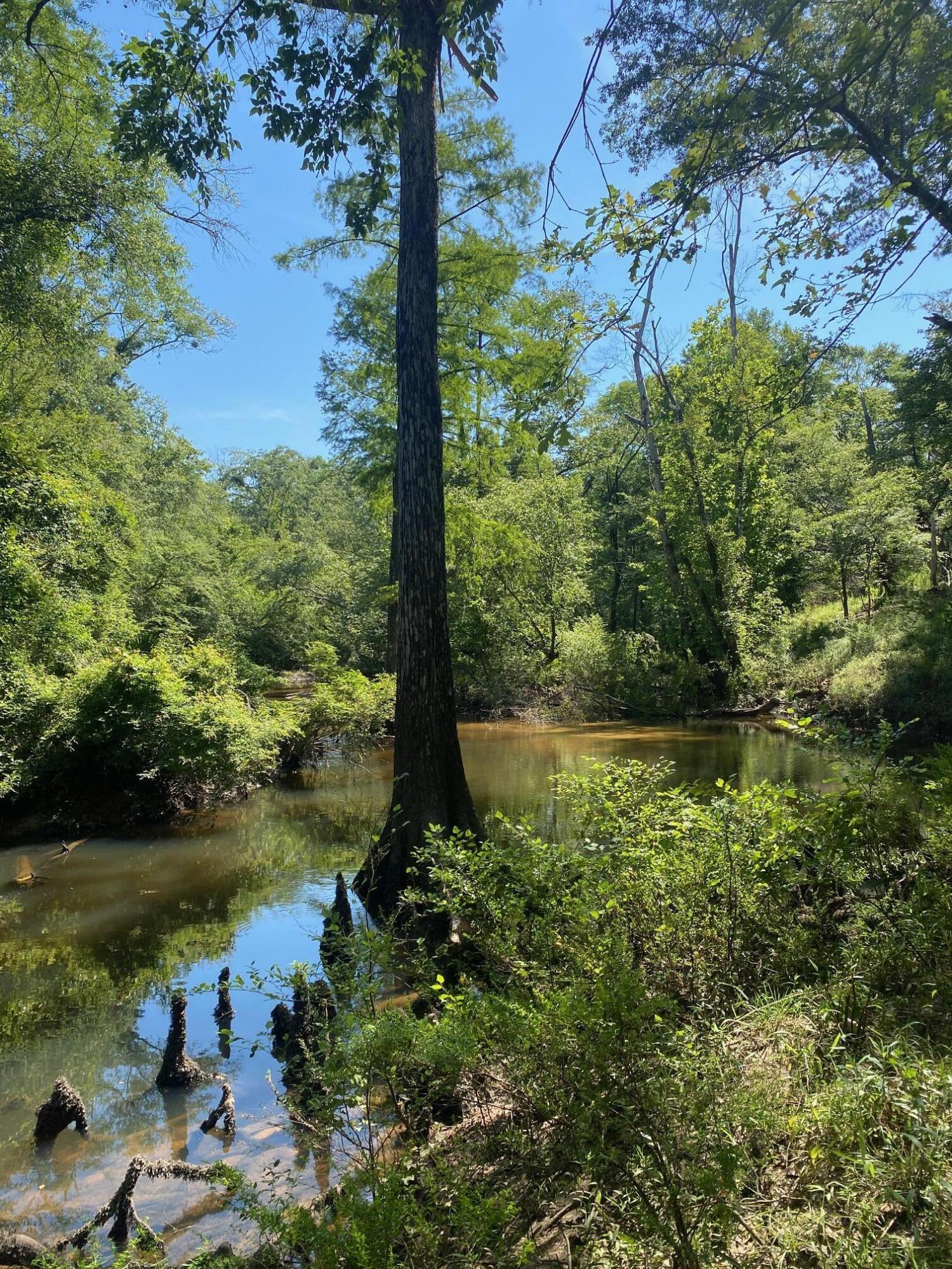 10 Acres Old Liberty School Rd, Bonifay, FL 32425 - MLS 919167 ...