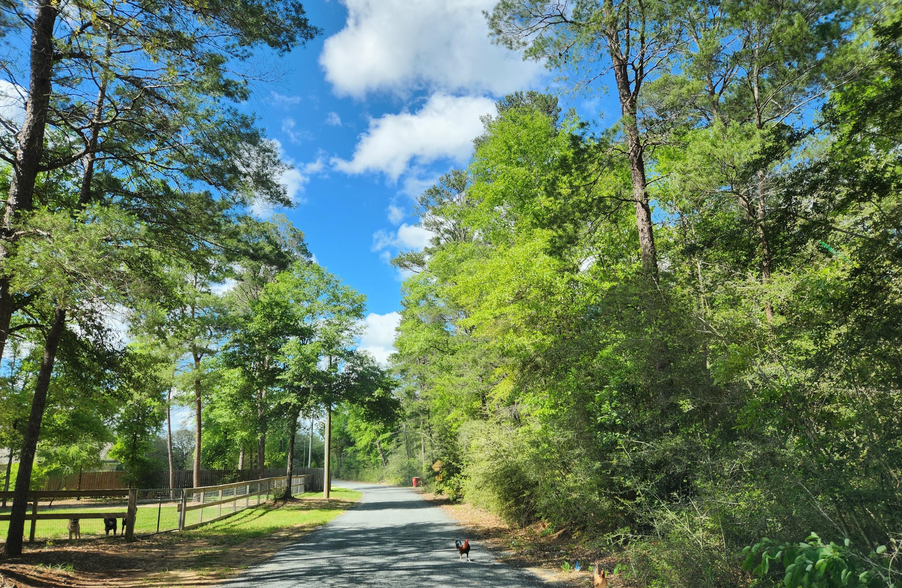 116 Loop Dr, Crestview FL  32536-4259 exterior