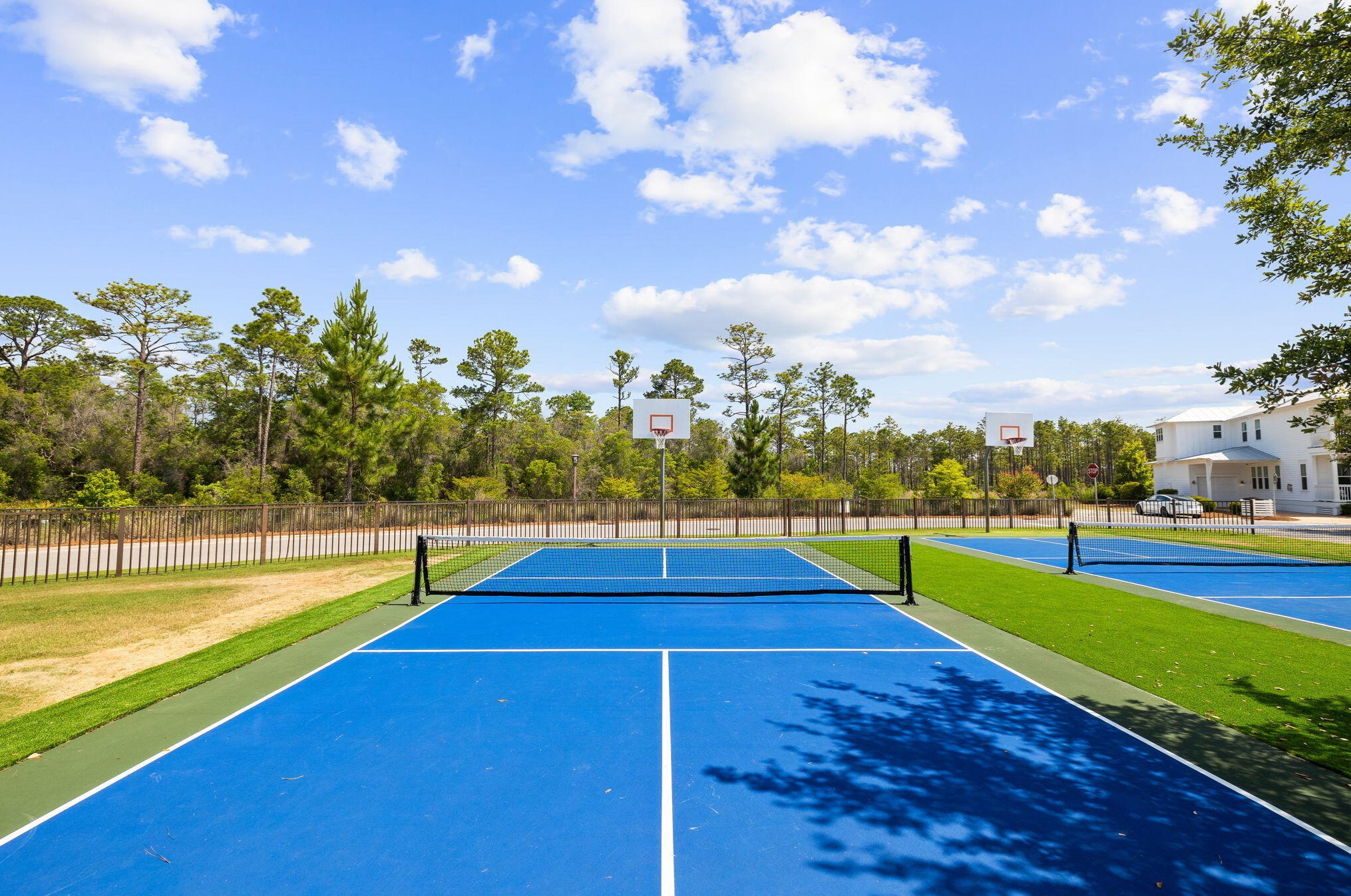 20 Beargrass Way, Santa Rosa Beach FL  32459-8832 exterior