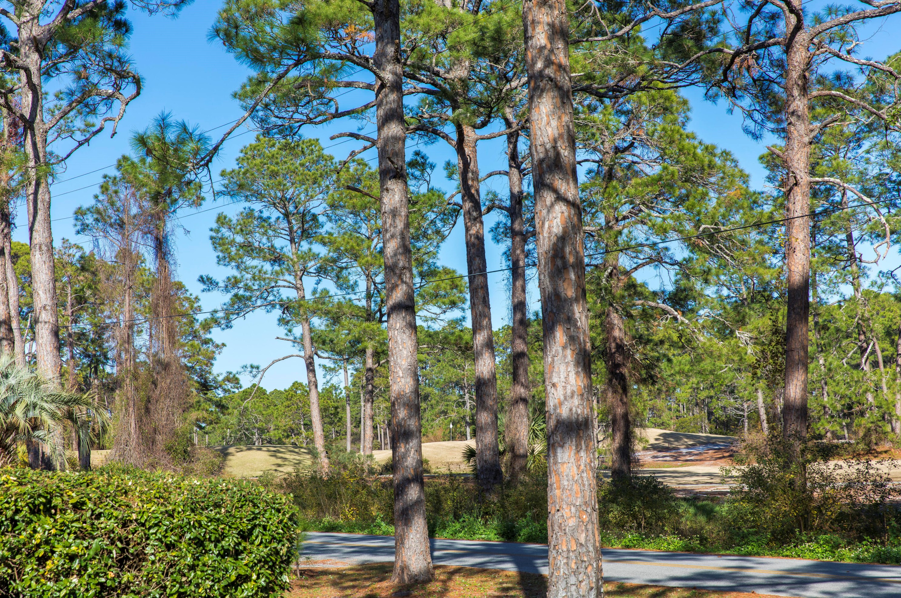 125 Hillcrest Rd, Santa Rosa Beach FL  32459-4130 exterior