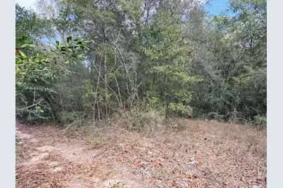 0.56 Christopher Lane, Crestview, FL 32539 - Photo 7