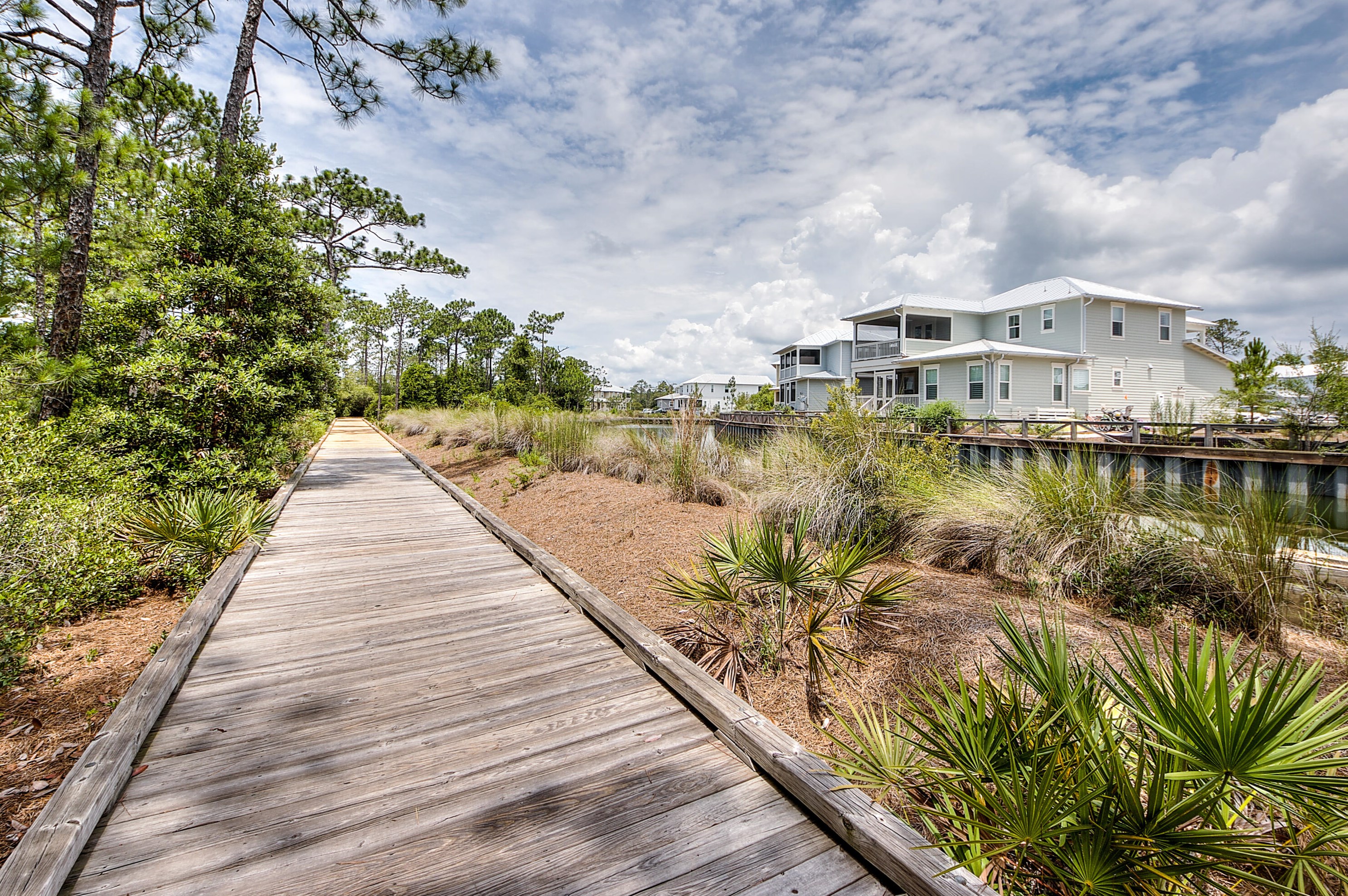 995 Sandgrass Blvd, Santa Rosa Beach FL  32459-8877 exterior