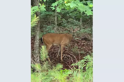 424 N Church Street Street N, Santa Rosa Beach, FL 32459 - Photo 69