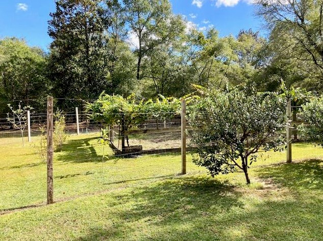 194 Creekside Ln, Defuniak Springs FL  32433-4906 exterior