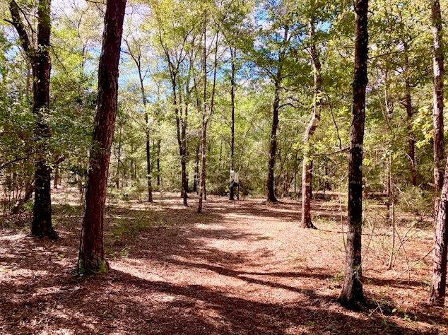 194 Creekside Ln, Defuniak Springs FL  32433-4906 exterior