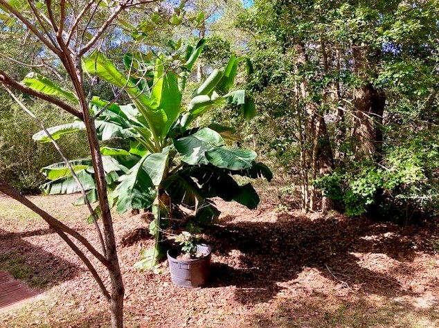 194 Creekside Ln, Defuniak Springs FL  32433-4906 exterior