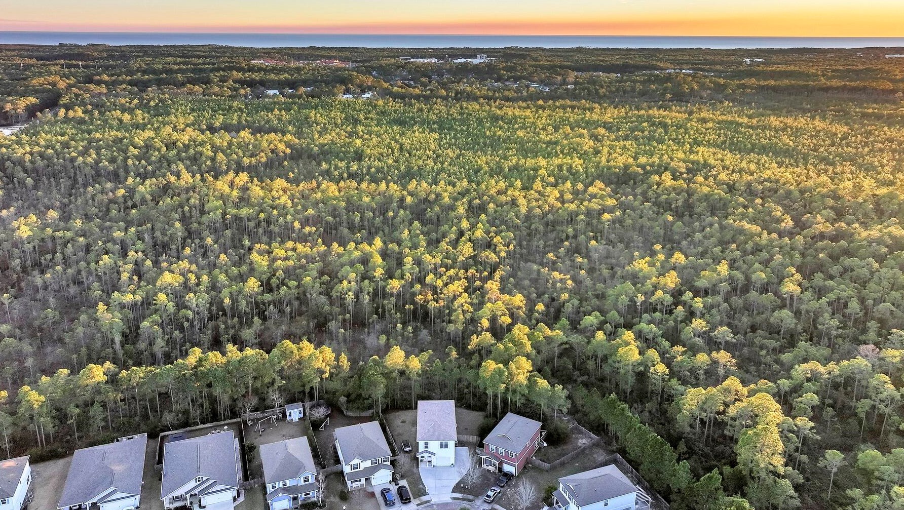 121 Topsail Dr, Santa Rosa Beach FL  32459-6136 exterior