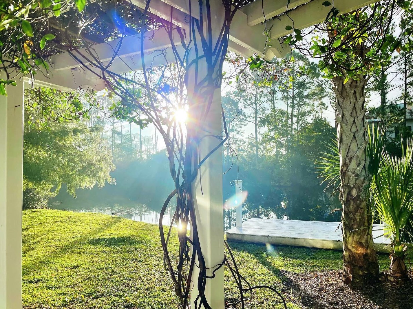 312 Somerset Brg Rd, Santa Rosa Beach FL  32459-6418 exterior