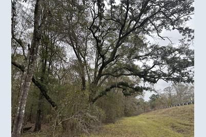 Tract#6326 N Tri County Road N, Bonifay, FL 32425 - Photo 1